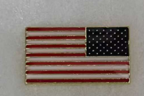USA Mil Rectangle Lapel Pin