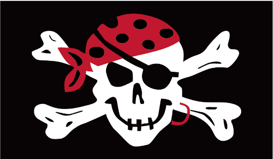 Pirate One Eye Jack 12"x18" Flag ROUGH TEX® 100D With Grommets