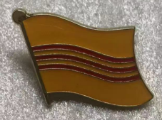 South Vietnam Wavy Lapel Pin