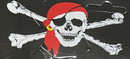 Jolly Roger 3'x5' Flag ROUGH TEX® 68D