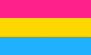 Pansexual 4'x6' Flag Rough Tex ® 150D Pride