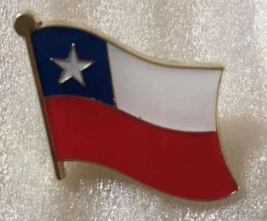 Chile Wavy Lapel Pin