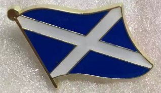 Scotland Wavy Lapel Pin
