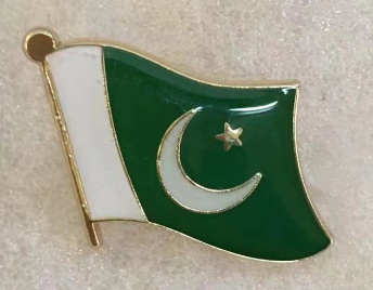 Pakistan Wavy Lapel Pin