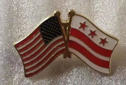 USA & Washington DC Friendship Lapel Pin District of Columbia America