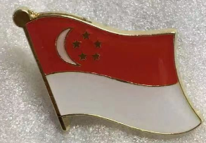 Singapore Wavy Lapel Pin