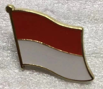 Indonesia Wavy Lapel Pin