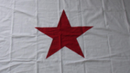 Georgia Secession 3'x5' Embroidered Flag ROUGH TEX® Cotton