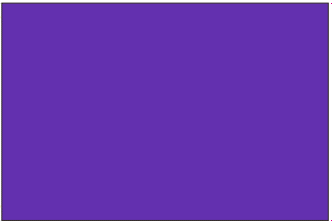 Purple 12"x18" Stick Flag ROUGH TEX® 100D 30" Wooden Stick