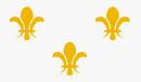 Fleur De Lis 3'X5' Embroidered Flag ROUGH TEX® 600D in Colored Box