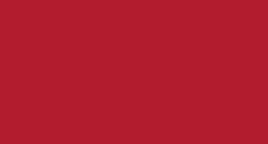 Red Solid 2'x3' Flag ROUGH TEX® 100D