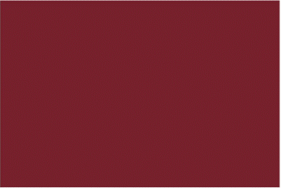 Burgundy 2'x3' Flag ROUGH TEX® 100D