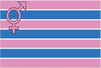 Transgender Pride 12"x18" Flag ROUGH TEX® 100D With Grommets