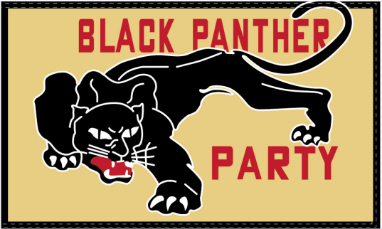 Black Panther Party 3'X5' Flag ROUGH TEX® 100D