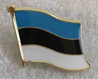 Estonia Wavy Lapel Pin