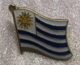 Uruguay Wavy Lapel Pin