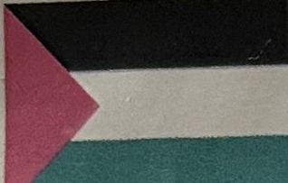 Palestine 8"x12" Wooden Stick Flags