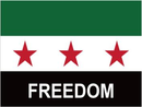 Syria Freedom 2024 2'x3' Flag ROUGH TEX® 100D