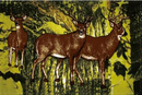 Deer Camo 3'x5' Flag ROUGH TEX® 100D