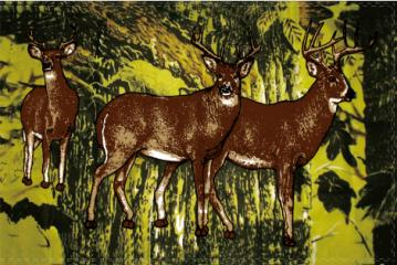 Deer Camo 3'x5' Flag ROUGH TEX® 100D