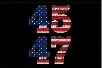 45 47 USA Black 3'x5' Flag ROUGH TEX® 100D