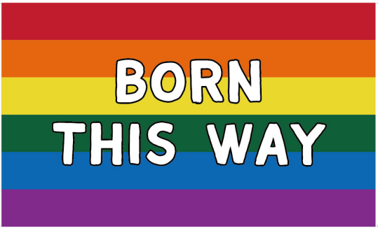 Born This Way Rainbow LGBTQ+ Pride 3'x5' Flag ROUGH TEX® 100D