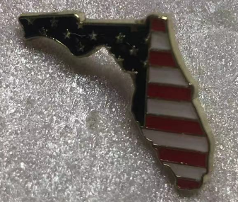 Florida State USA Lapel Pin