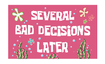 Several Bad Decisions Later 3'X5' Flag ROUGH TEX® 68D