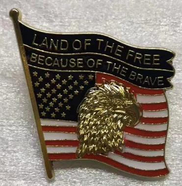 Land of The Free Because of The Brave USA Eagle Lapel Pin