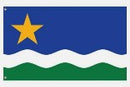 Minnesota North Star 2'x3' Flag ROUGH TEX® 100D