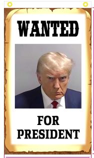 Trump Mugshot Wanted For President 3'X5' Flag 68D with Sleeves & Grommets with no Header Card
