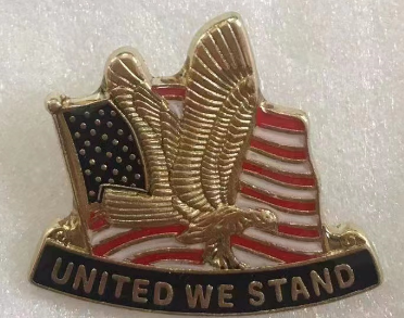 United We Stand USA Lapel Pin