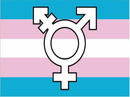 Transgender Official 12"x18" Flag ROUGH TEX® 100D With Grommets