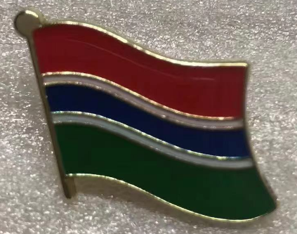 Gambia Wavy Lapel Pin