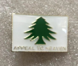 Washington's Cruisers Appeal To Heaven Lapel Pin