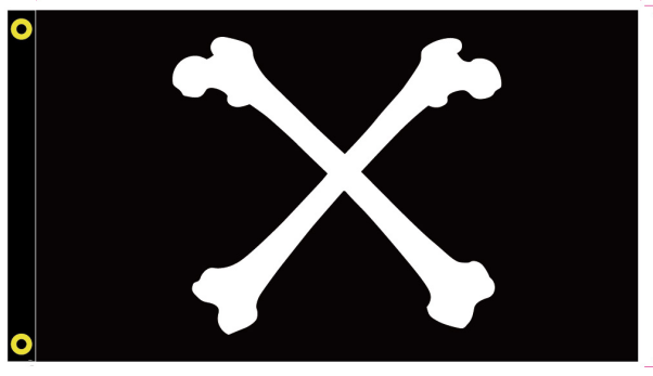 Henry Every Cross Bones Pirate 12"x18" Flag ROUGH TEX® 100D With Grommets