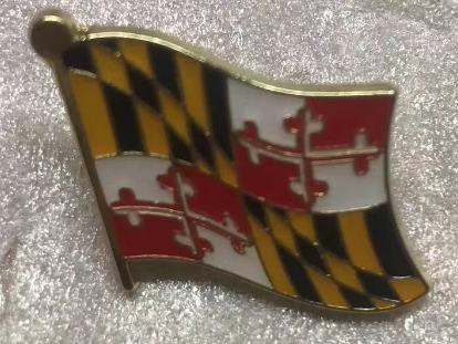 Maryland Wavy Lapel Pin