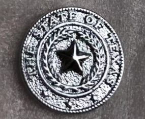 Texas Seal Silver Round Lapel Pin