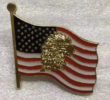 USA Eagle Wavy Lapel Pin