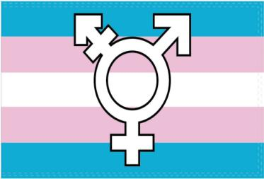 Transgender Official Symbol 3'x5' Flag ROUGH TEX® 100D