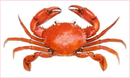 Live Crab 3'X5' Flag ROUGH TEX® 100D