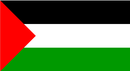 Palestine Official 3'X5' Flag ROUGH TEX® 68D