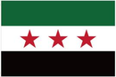 Syrian Revolutionary Republic 2024 12"x18" Stick Flag ROUGH TEX® 100D 30" Wooden Stick