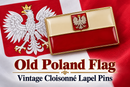 Poland with Eagle Rectangle Lapel Pin Old Polish Flag Pins Vintage