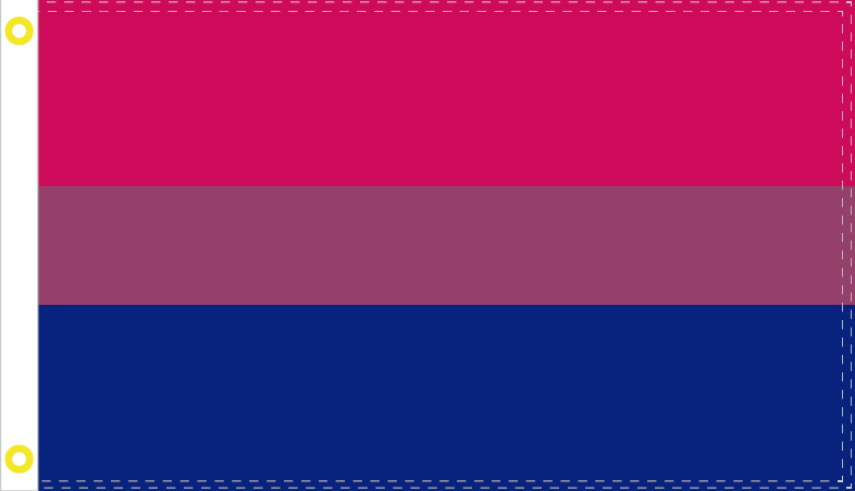 Bisexual Rainbow 12"x18" Stick Flags Pride Parade