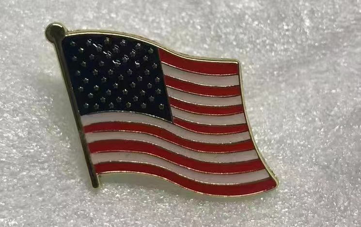 USA Wavy Lapel Pin