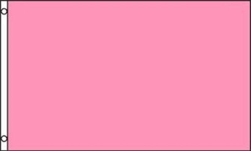 Pink Solid 3'X5' Flag ROUGH TEX® 100D
