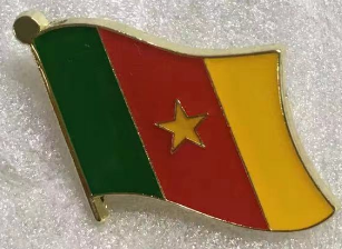 Cameroon Wavy Lapel Pin