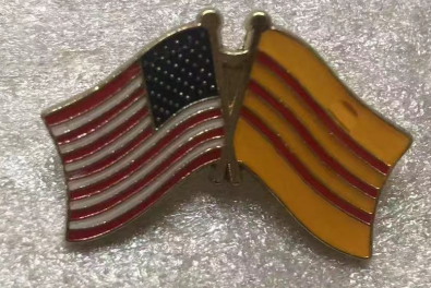 USA & South Vietnam Friendship Lapel Pin