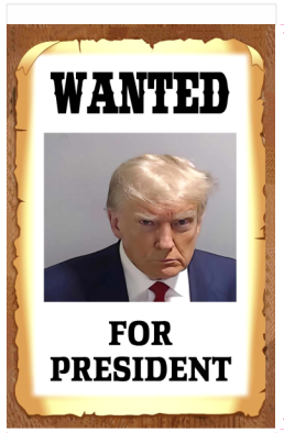Wanted For President Trump Official Mugshot 12"x18" 100D ROUGH TEX® Double Sided Garden Flag Mug Shot Official